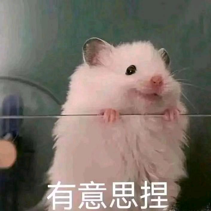 心叶（三角洲行动）