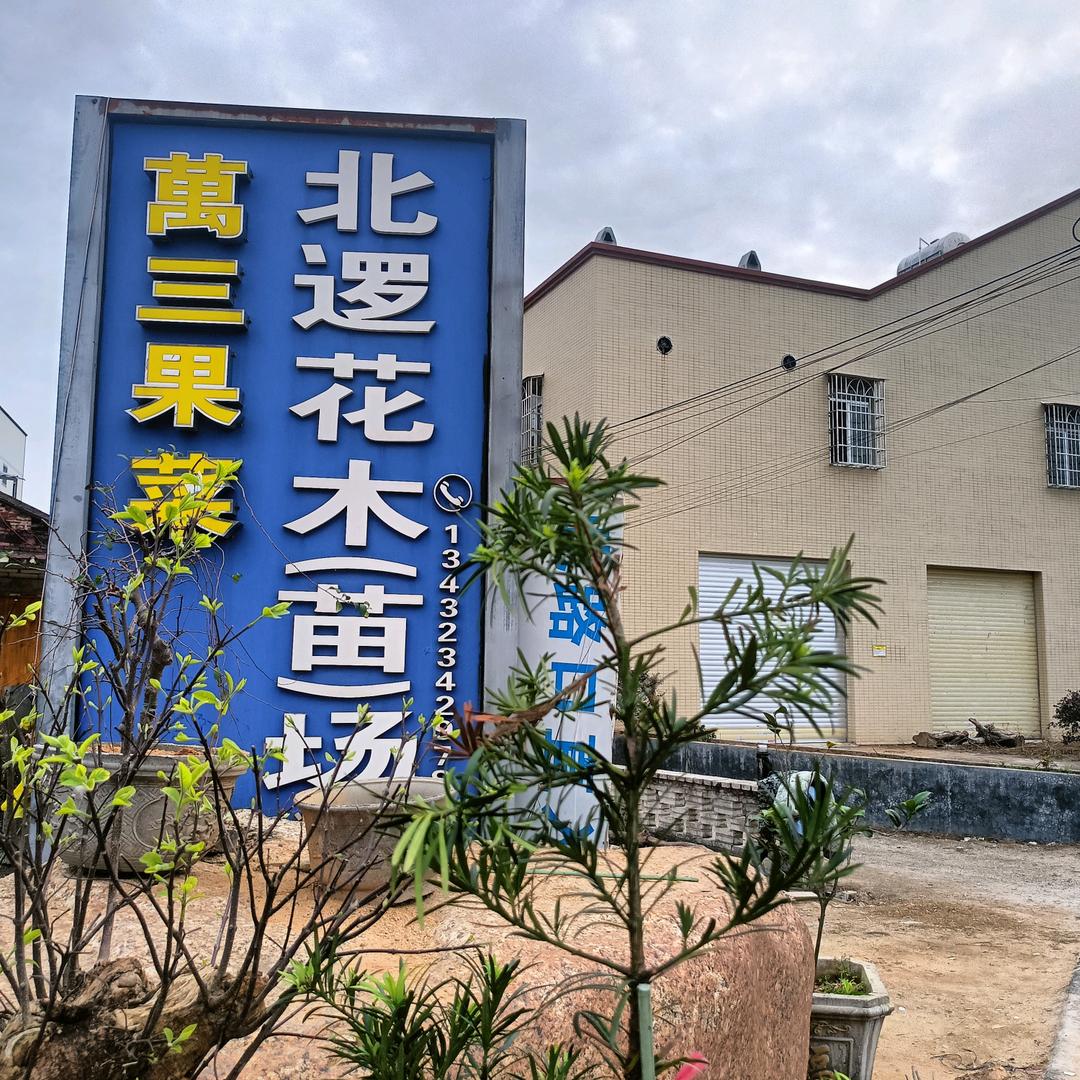 萬三