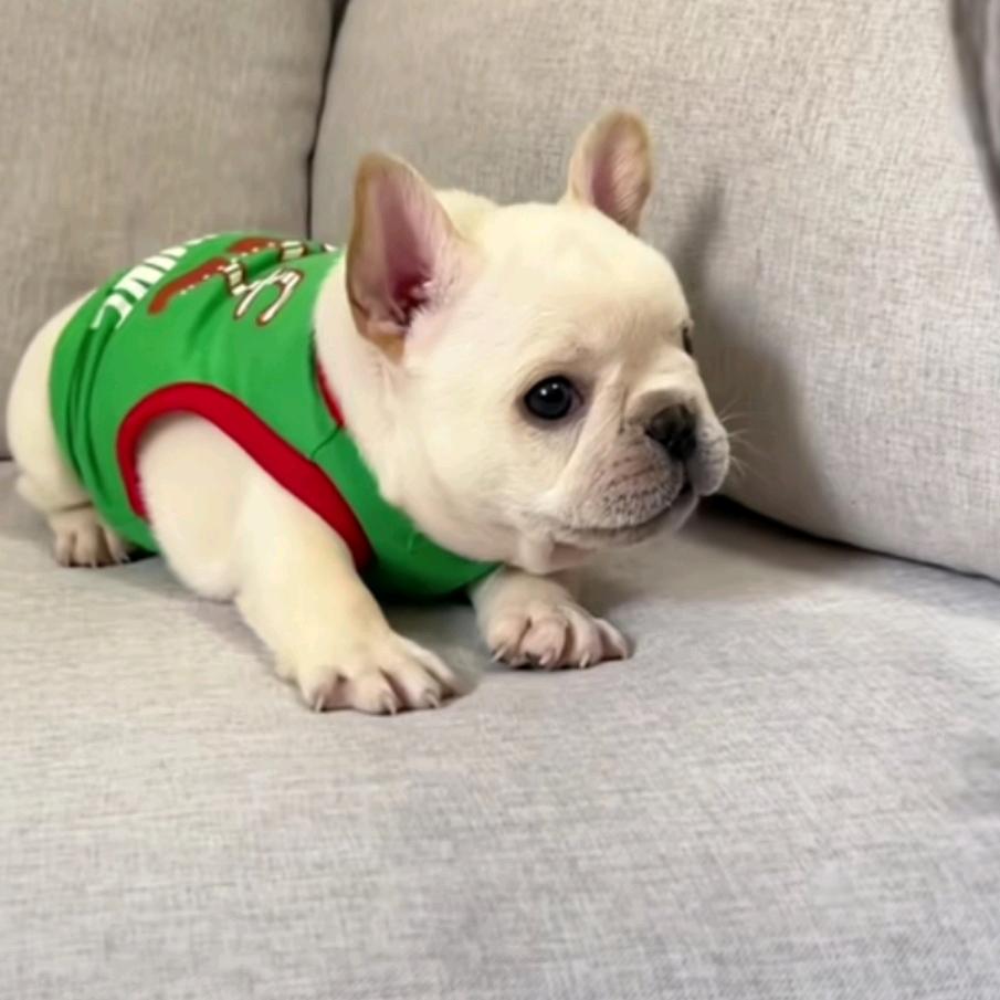 始于初见，止于终老