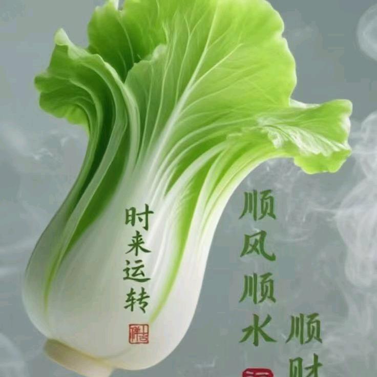 百财