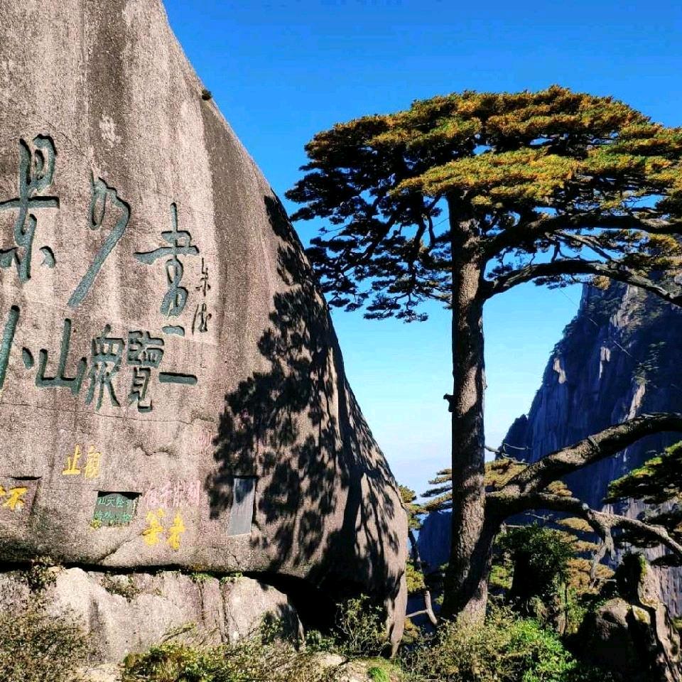 抖音不抖