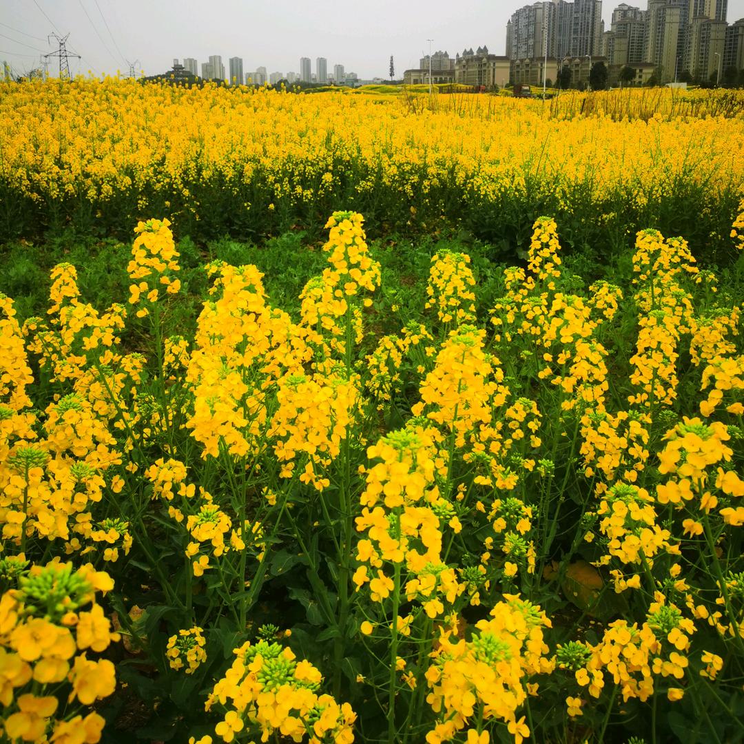 保、涂、中国。