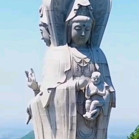 雪梓缘