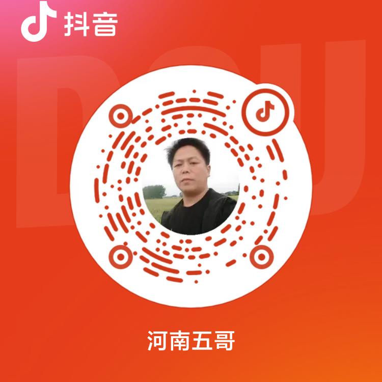 河南五哥在新疆