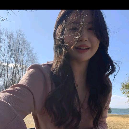 小葵花菜 爆款返场