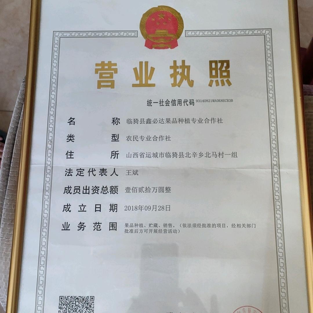 临猗县鑫必达果品种植专业合作社