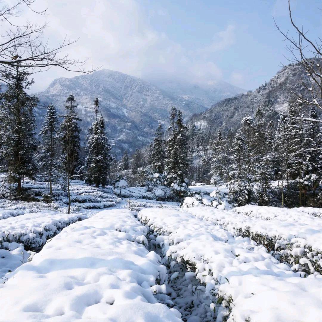 顺风顺水顺财神
