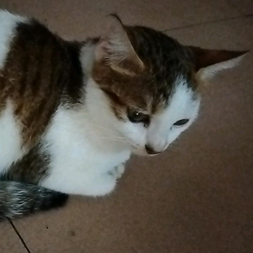 💞ℒᎭ潘💕⁵²º࿐