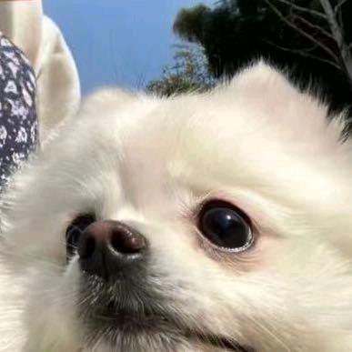 水蜜桃