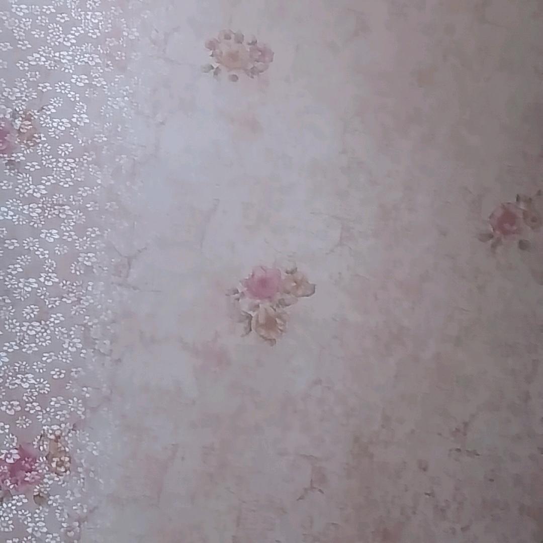 ayyshuai