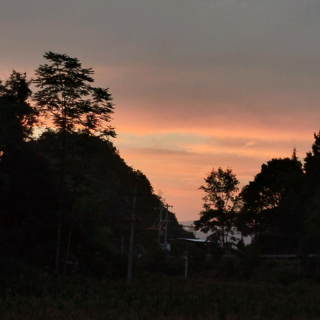 🏹长张🌹🌹🐕🌷🌷