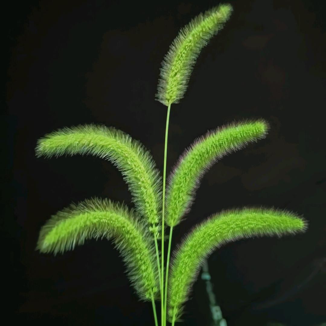 我想像风一样自由（拒绝陌生人私聊）