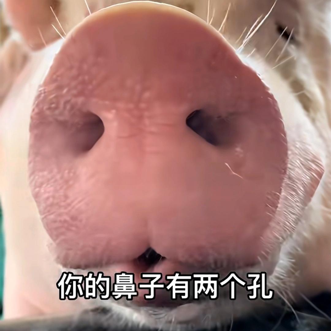 幼儿园扛把子！