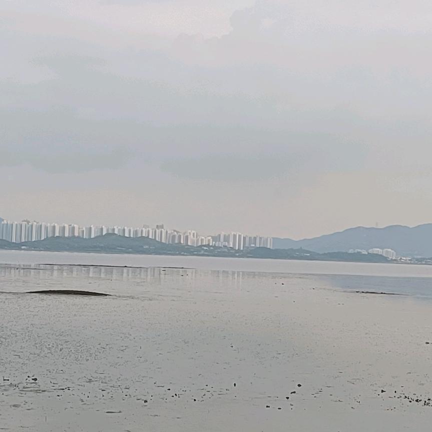 自由自在