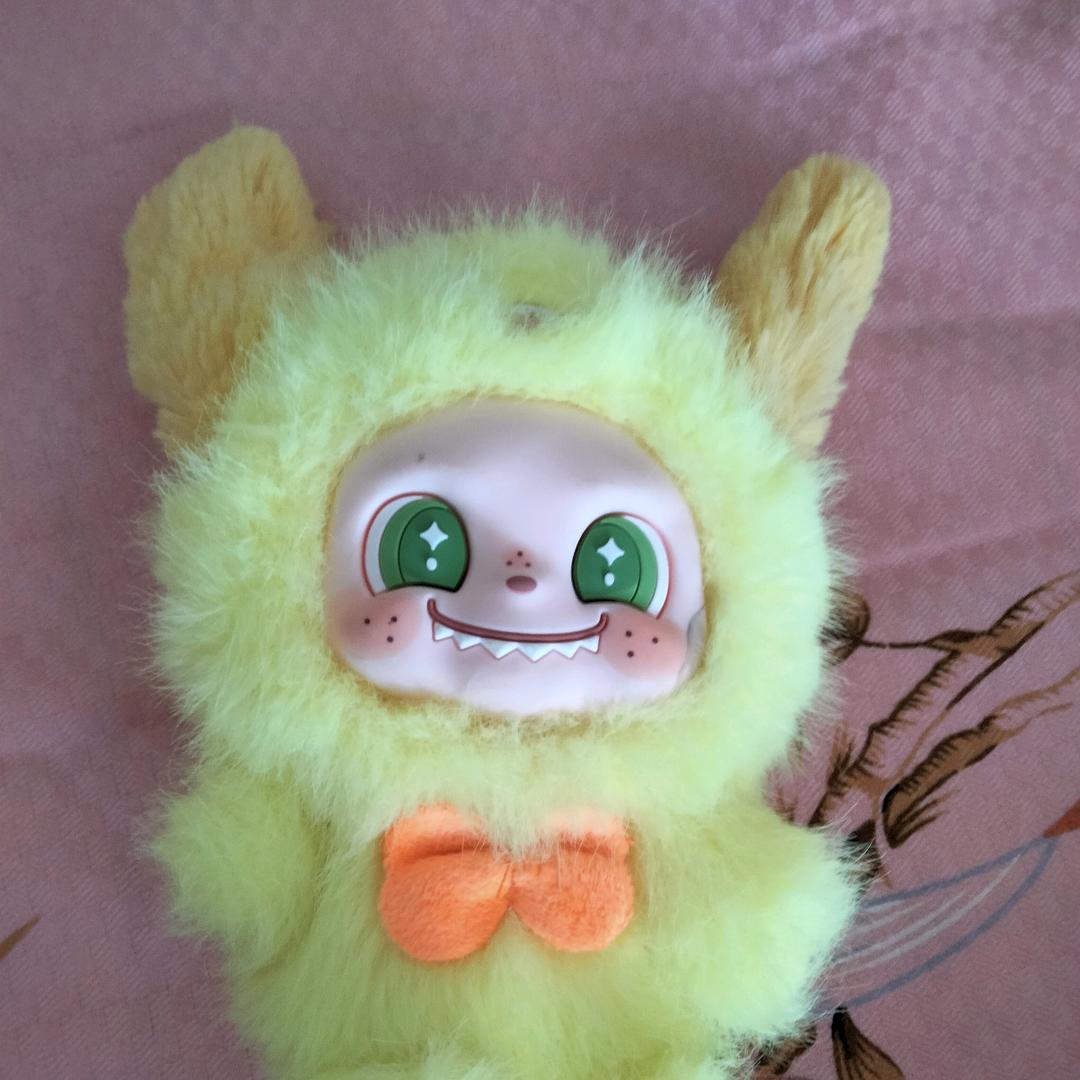 我想要一只拉布布