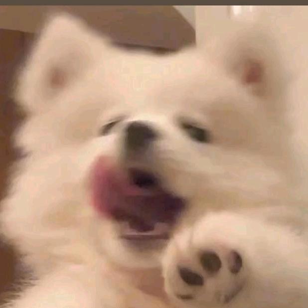 有头脑和不高兴