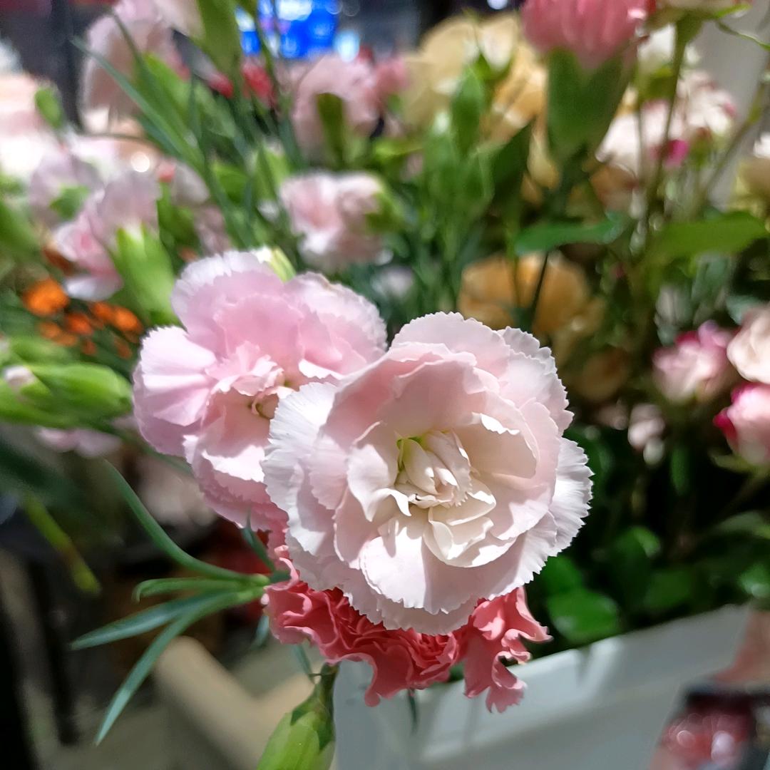一米阳光