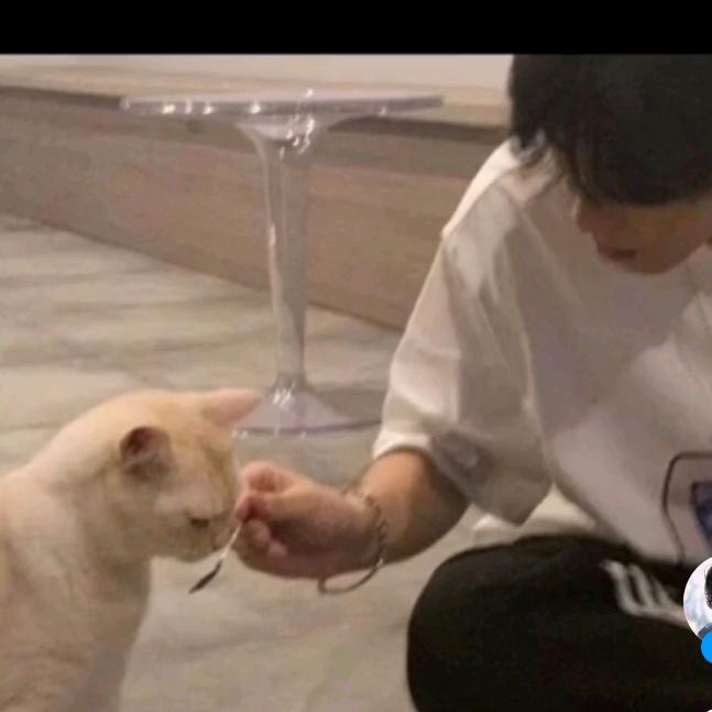 紫彩云☁️