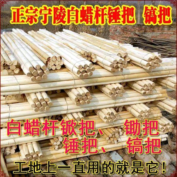 武振体育