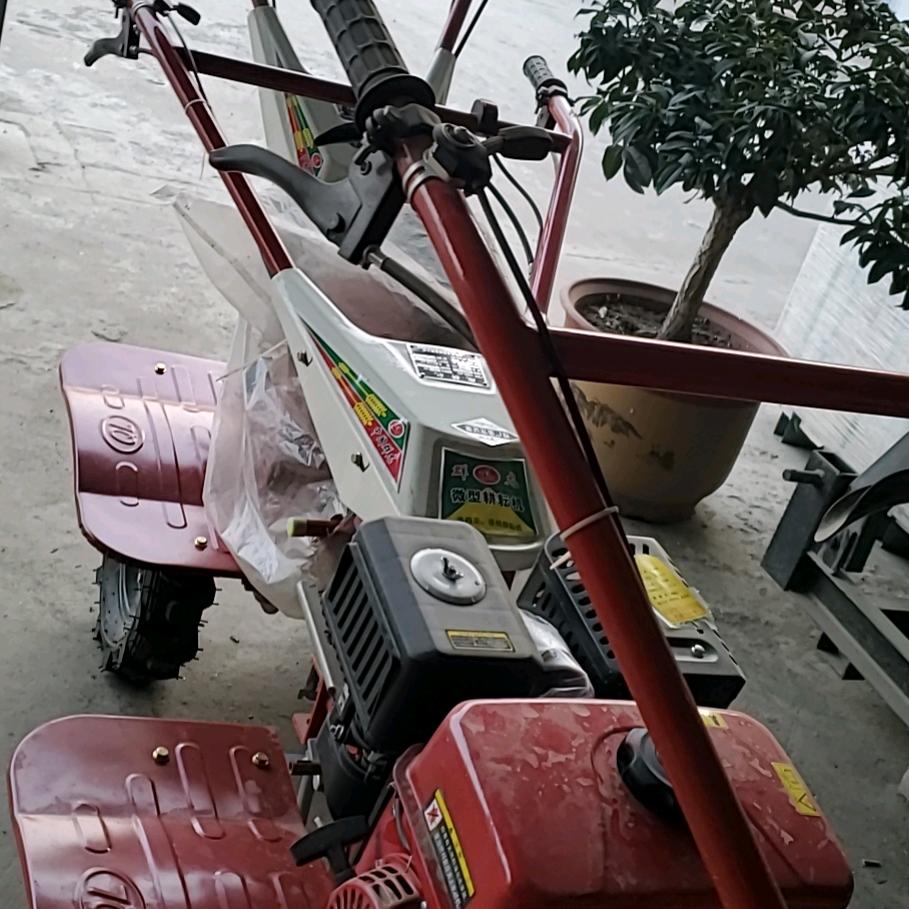 梅姐开心