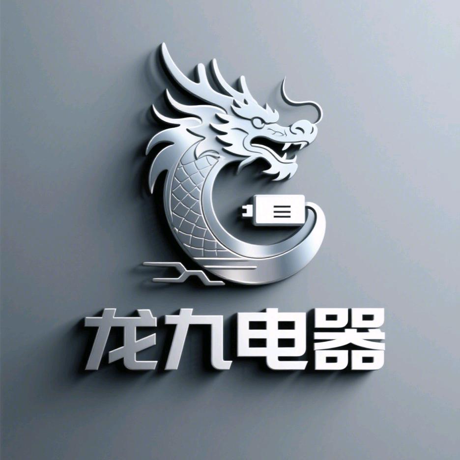 龙九电器