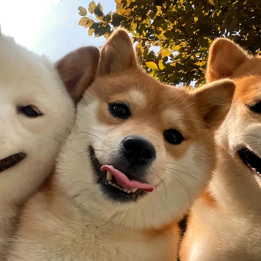 烁烁☂️