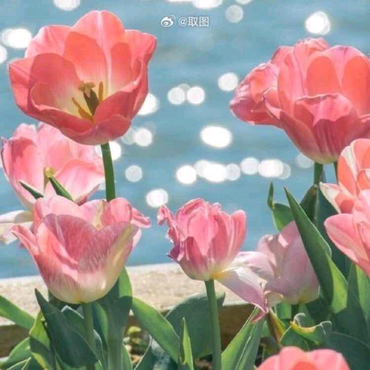 好运，永远眷顾不放弃的人