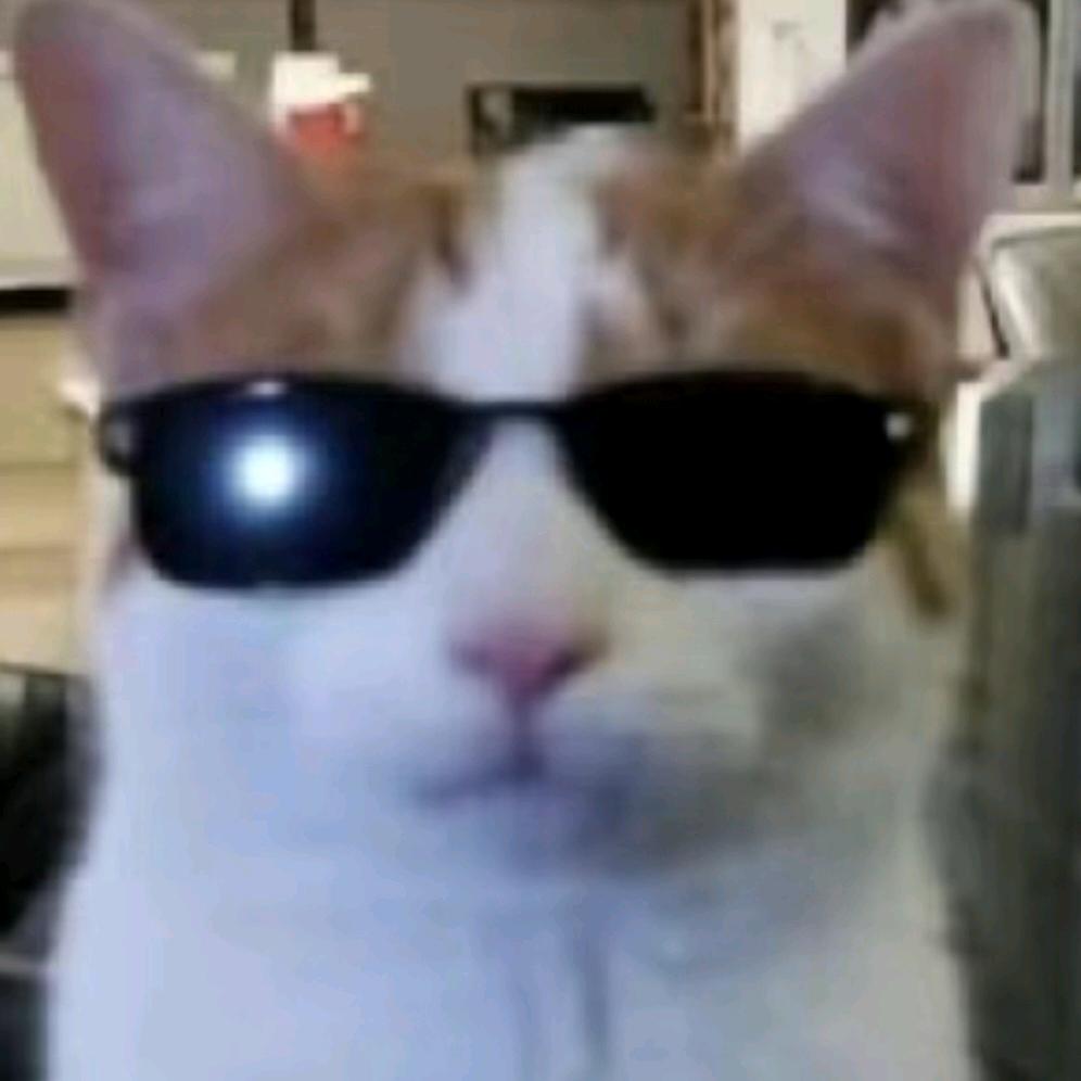 送快递的猫猫头