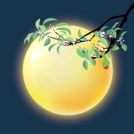明月妹