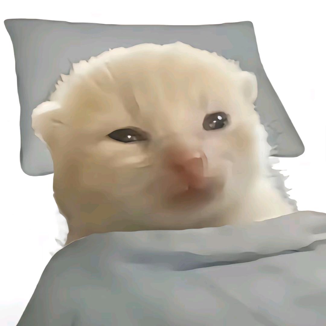 哈基咪摸南北路多