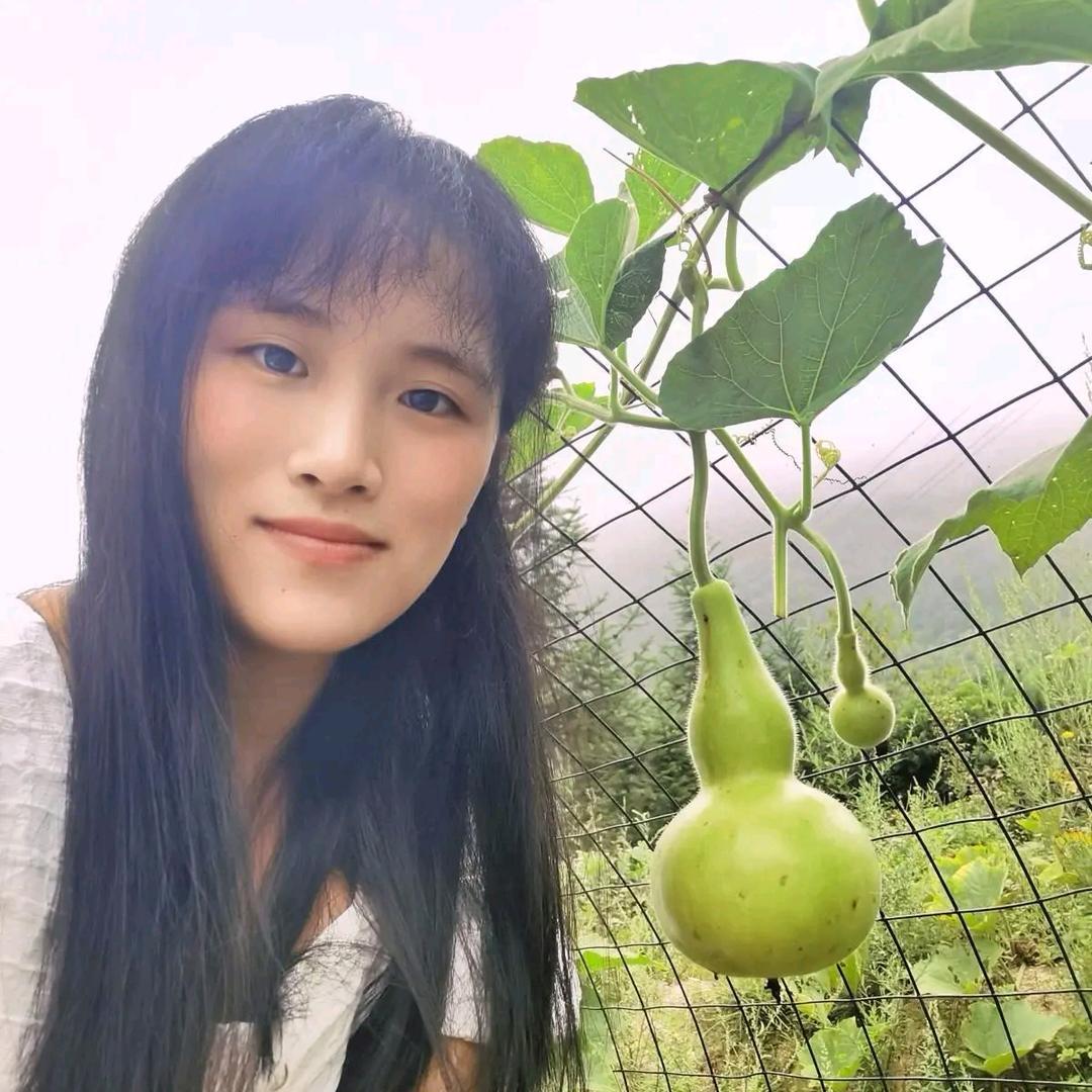 赵云的乡村日志🌾