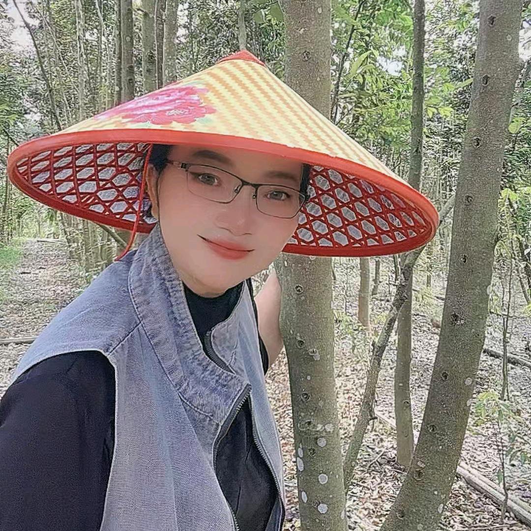 玲姐海南种植奇楠沉香基地
