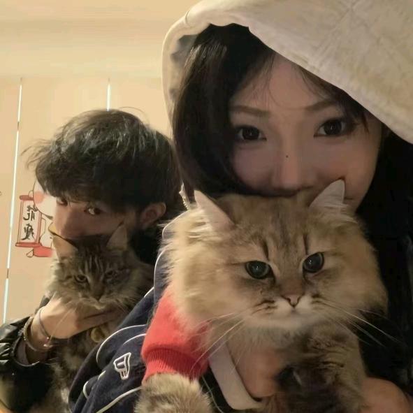 姚jr