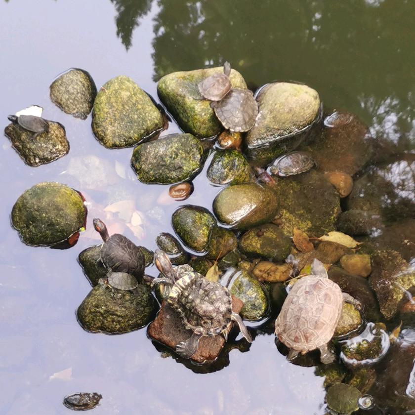 运气这东西，全靠运气