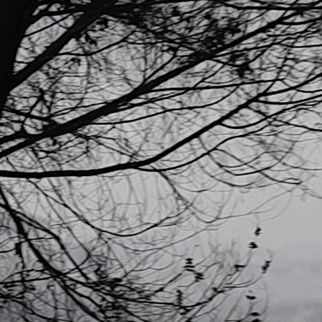 云雨月落