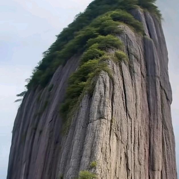 疯疯癫癫又一天