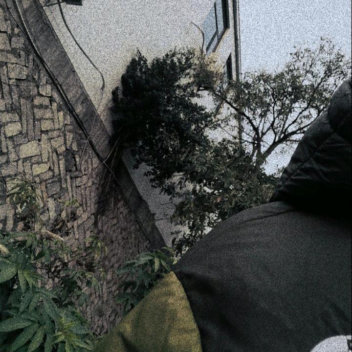 少林小子正华