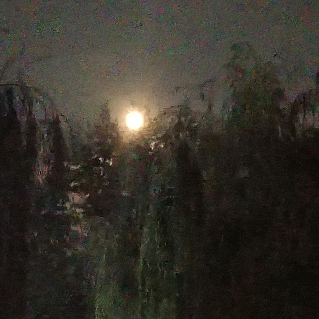 余生，好好爱自己