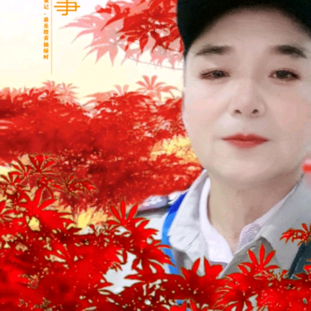 毛毛