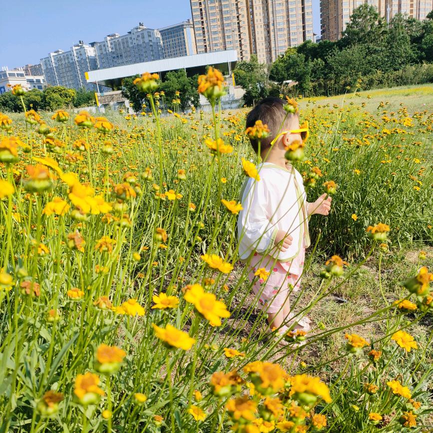 奶茶七分糖○`ε´○
