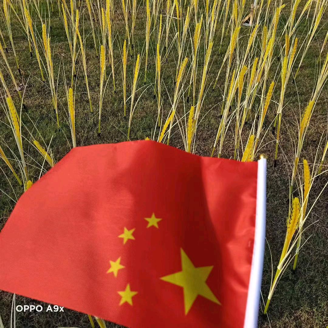 马💕陈