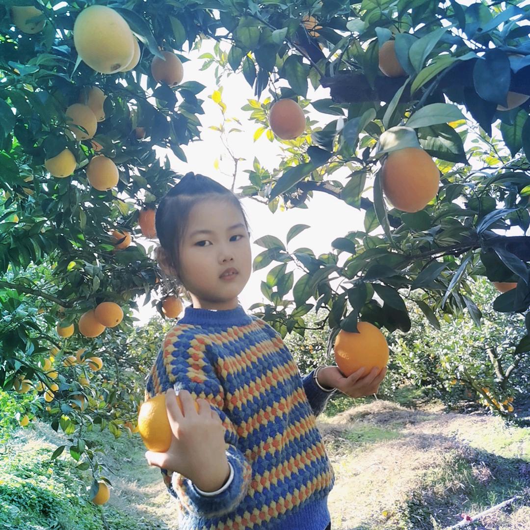 🍊家有三千金🍊