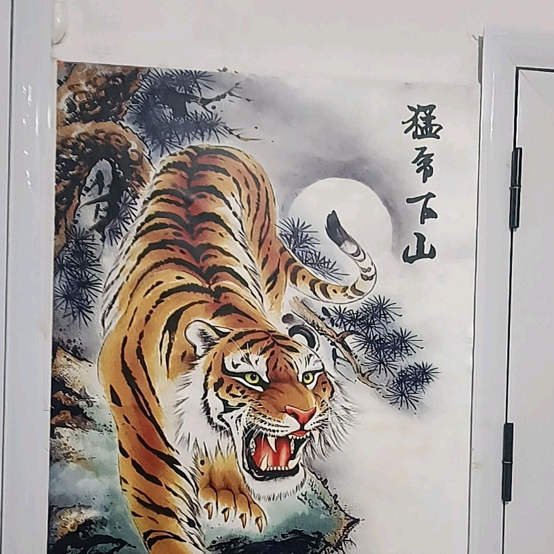 我是一只千年修行的虎