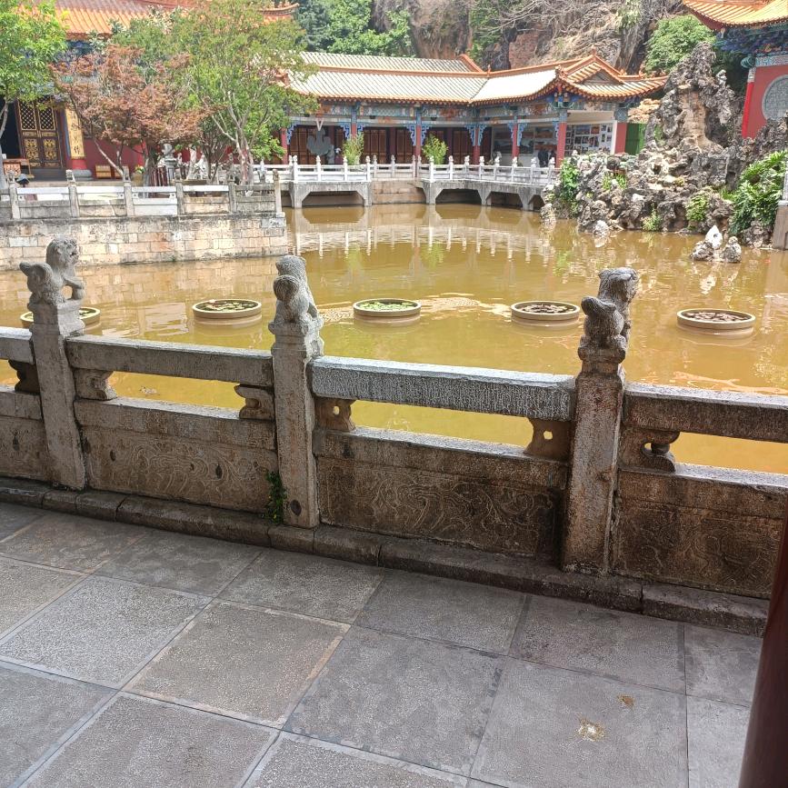 卑微曦儿