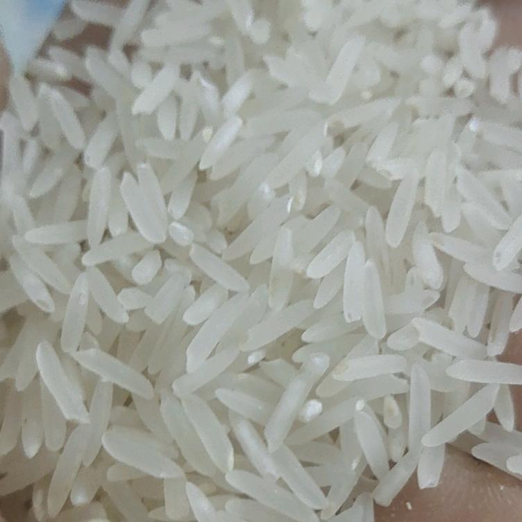 放飞梦想