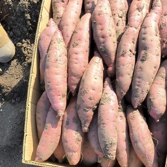 岳龙镇农副产品小店