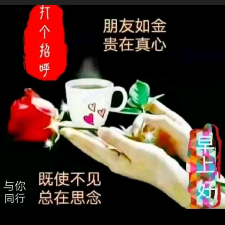 中华，国学。