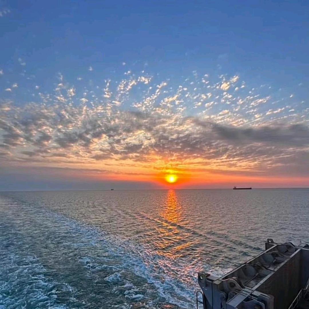 九五至尊星耀大群😄😄😄😄