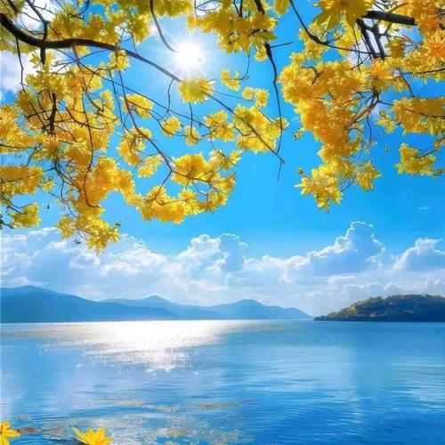 我的未来不是梦