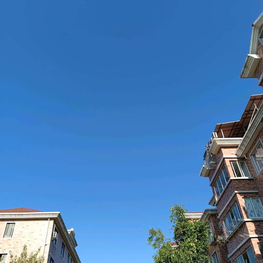 在人间凑数的日子